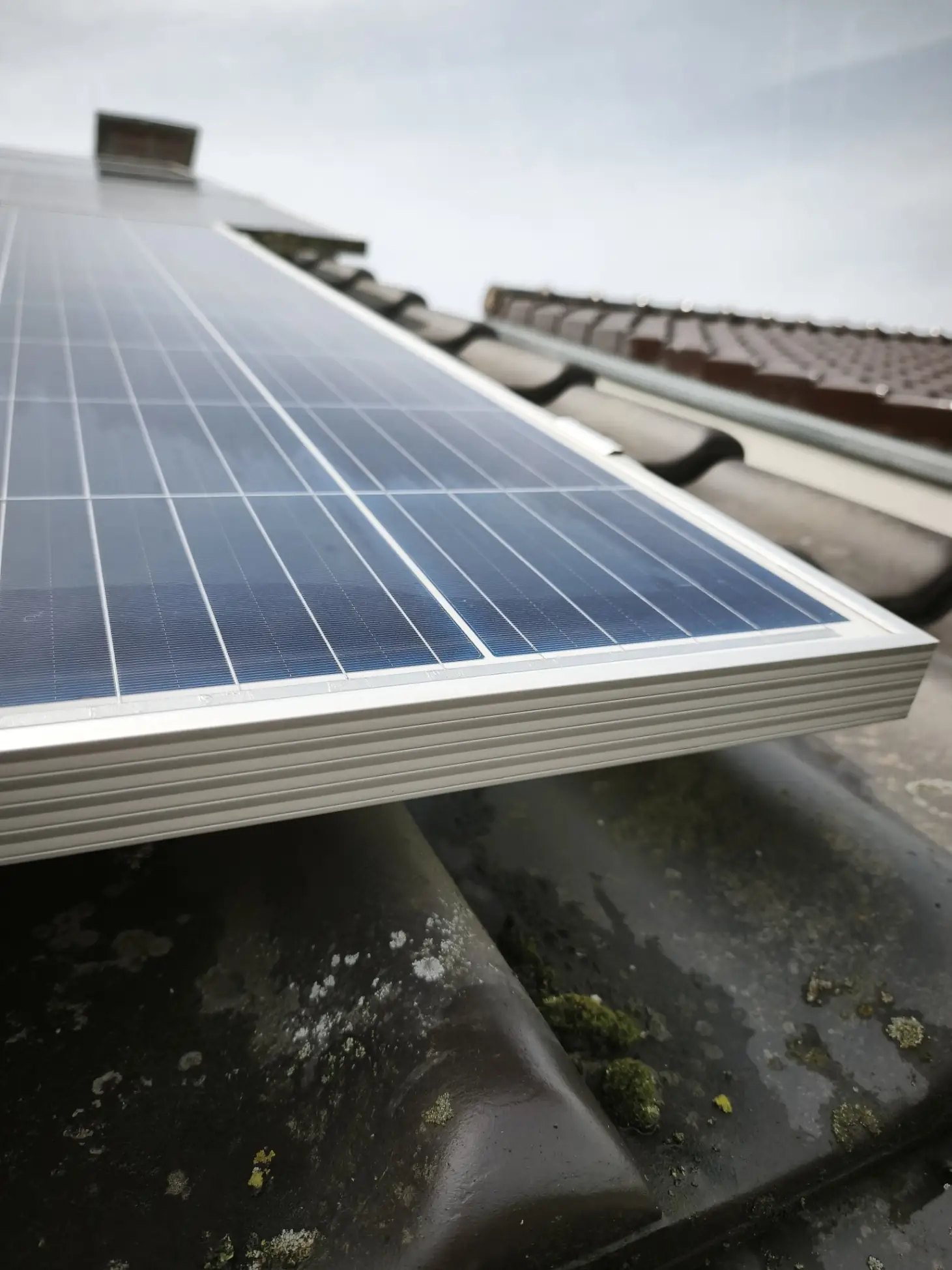 Détail d'un panneau solaire photovoltaïque propre après nettoyage professionnel à l'eau pure à Chimay