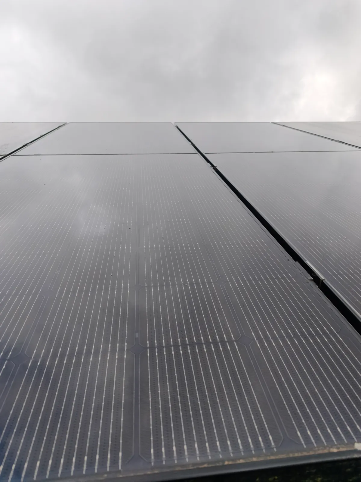 Panneaux solaires photovoltaïques propres après nettoyage à l'eau pure osmosée par Vitro Solar Clean en Wallonie